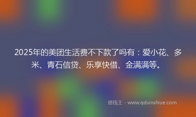 2025年的美团生活费不下款了吗有：爱小花、多米、青石信贷、乐享快借、金满满等。