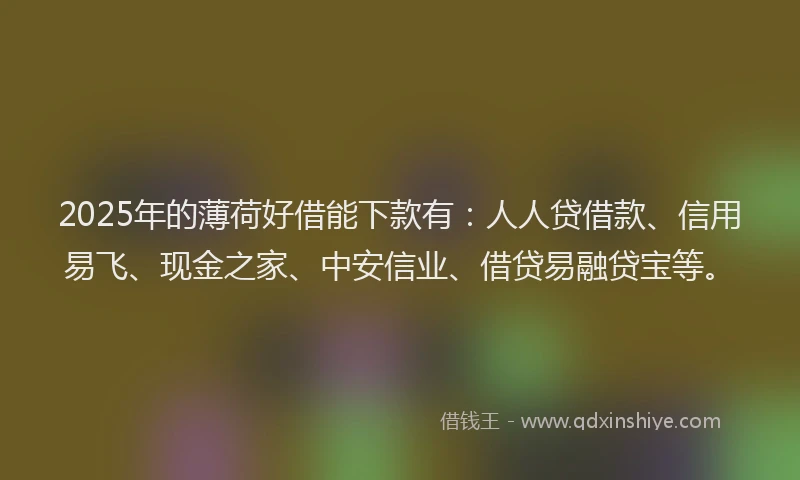 2025年的薄荷好借能下款有：人人贷借款、信用易飞、现金之家、中安信业、借贷易融贷宝等。