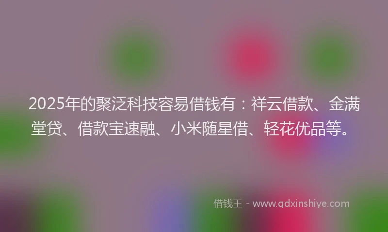 2025年的聚泛科技容易借钱有：祥云借款、金满堂贷、借款宝速融、小米随星借、轻花优品等。