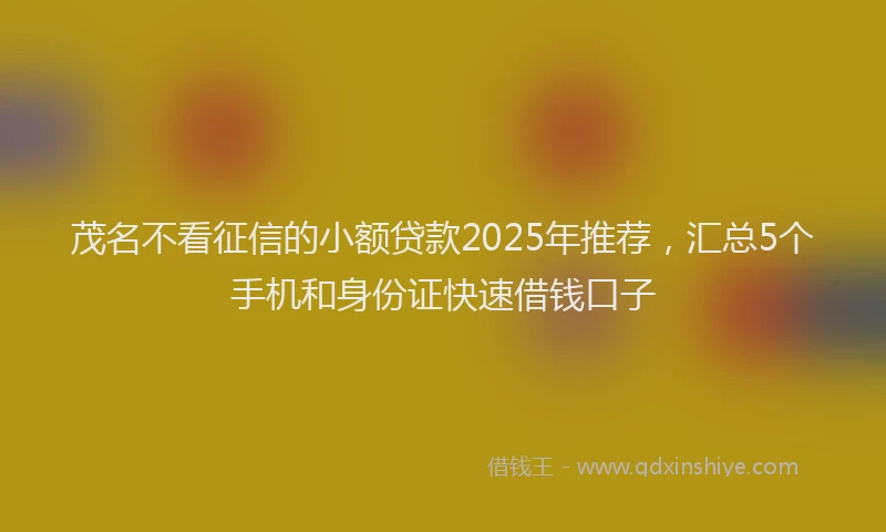 茂名不看征信的小额贷款2025年推荐，汇总5个手机和身份证快速借钱口子