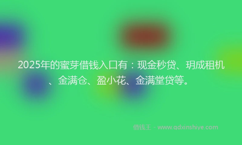 2025年的蜜芽借钱入口有：现金秒贷、玥成租机、金满仓、盈小花、金满堂贷等。