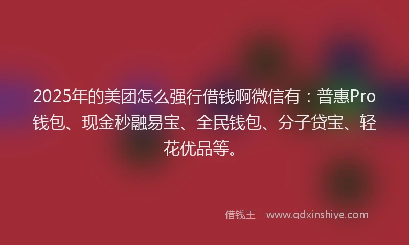 2025年的美团怎么强行借钱啊微信有：普惠Pro钱包、现金秒融易宝、全民钱包、分子贷宝、轻花优品等。