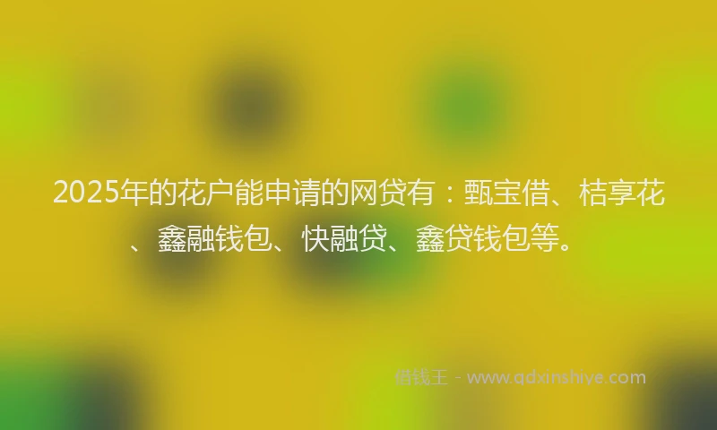 2025年的花户能申请的网贷有：甄宝借、桔享花、鑫融钱包、快融贷、鑫贷钱包等。