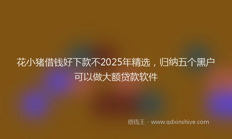 花小猪借钱好下款不2025年精选，归纳五个黑户可以做大额贷款软件