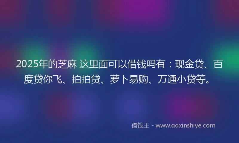 2025年的芝麻 这里面可以借钱吗有：现金贷、百度贷你飞、拍拍贷、萝卜易购、万通小贷等。