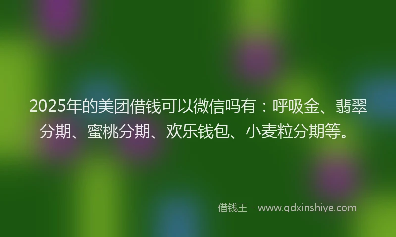 2025年的美团借钱可以微信吗有：呼吸金、翡翠分期、蜜桃分期、欢乐钱包、小麦粒分期等。