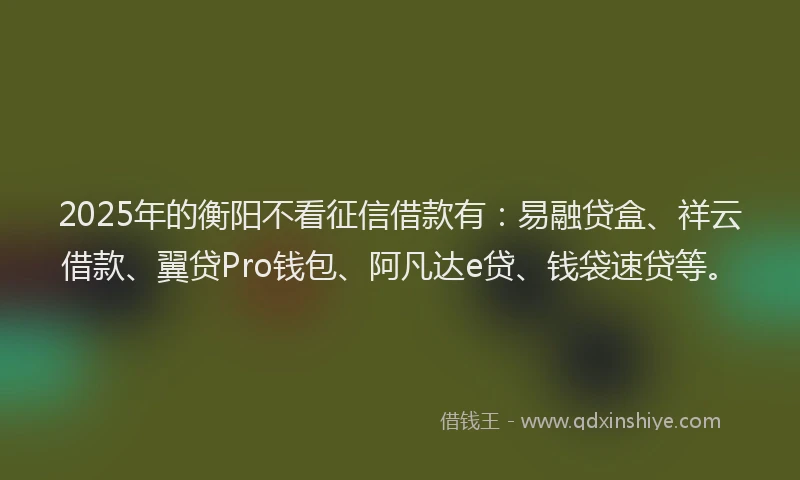 2025年的衡阳不看征信借款有：易融贷盒、祥云借款、翼贷Pro钱包、阿凡达e贷、钱袋速贷等。