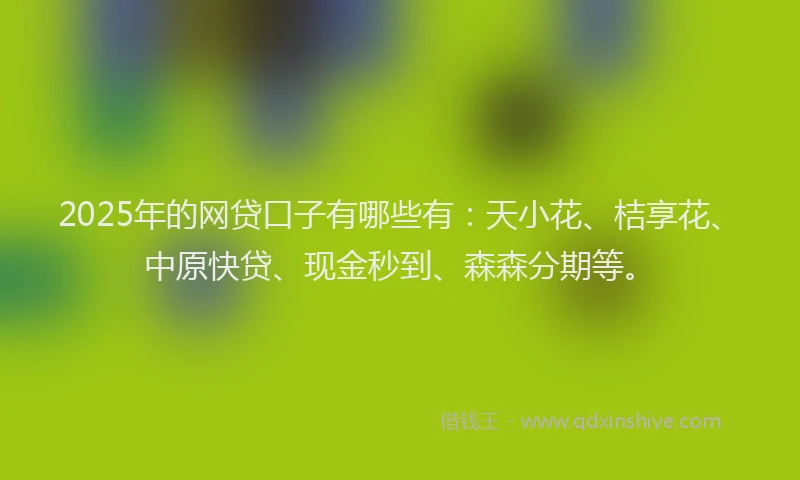 2025年的网贷口子有哪些有：天小花、桔享花、中原快贷、现金秒到、森森分期等。