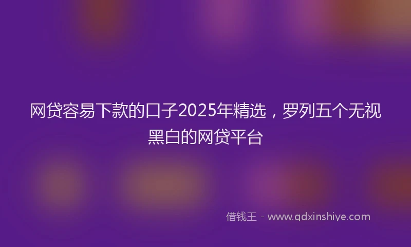 网贷容易下款的口子2025年精选，罗列五个无视黑白的网贷平台