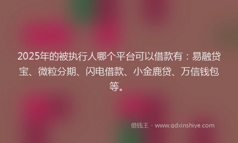 2025年的被执行人哪个平台可以借款有：易融贷宝、微粒分期、闪电借款、小金鹿贷、万信钱包等。