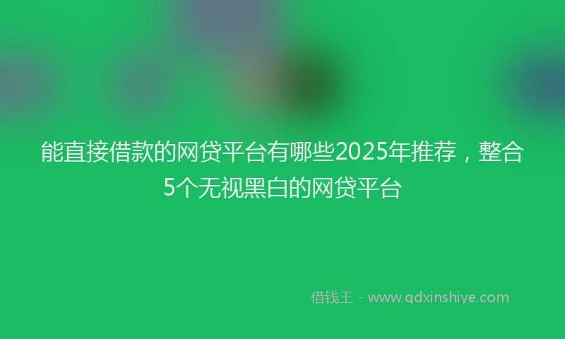 能直接借款的网贷平台有哪些2025年推荐，整合5个无视黑白的网贷平台
