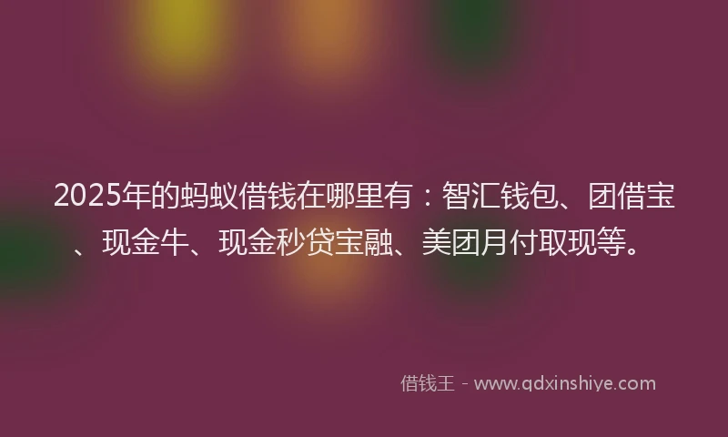 2025年的蚂蚁借钱在哪里有：智汇钱包、团借宝、现金牛、现金秒贷宝融、美团月付取现等。