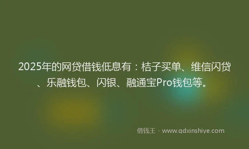 2025年的网贷借钱低息有：桔子买单、维信闪贷、乐融钱包、闪银、融通宝Pro钱包等。