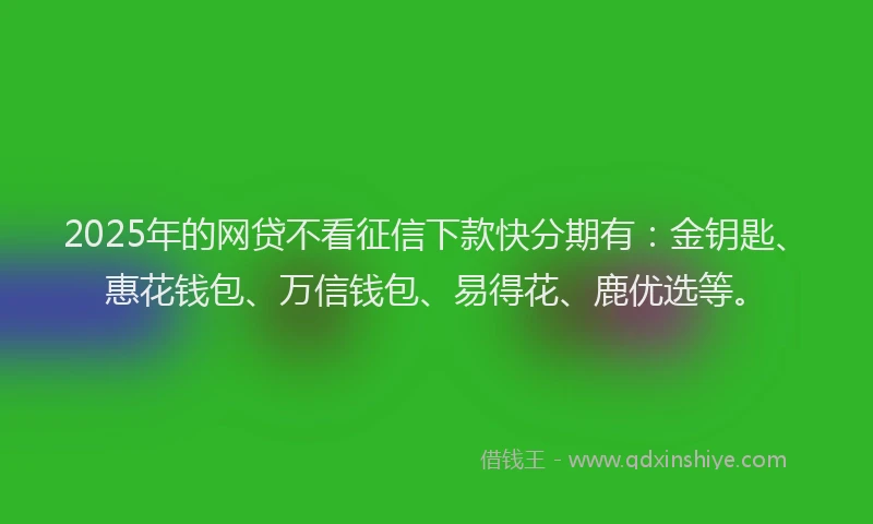 2025年的网贷不看征信下款快分期有：金钥匙、惠花钱包、万信钱包、易得花、鹿优选等。