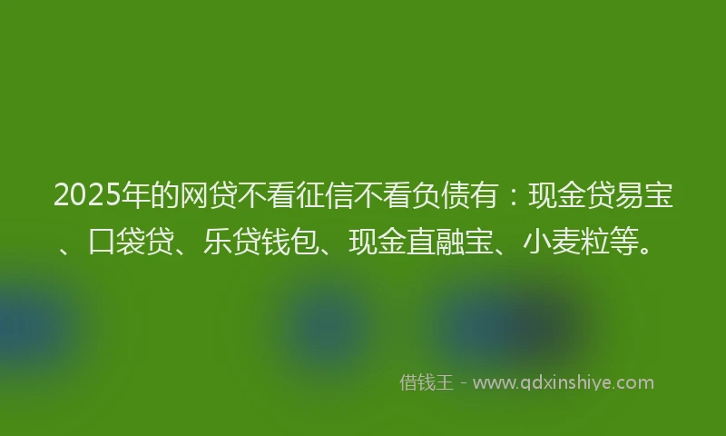 2025年的网贷不看征信不看负债有：现金贷易宝、口袋贷、乐贷钱包、现金直融宝、小麦粒等。