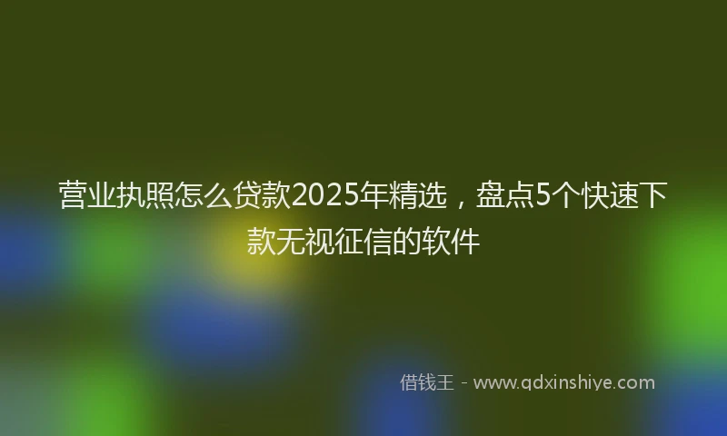 营业执照怎么贷款2025年精选，盘点5个快速下款无视征信的软件