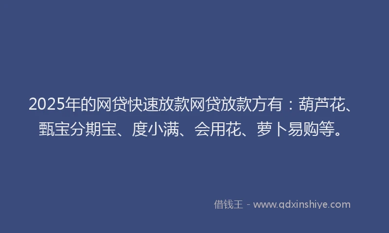 2025年的网贷快速放款网贷放款方有：葫芦花、甄宝分期宝、度小满、会用花、萝卜易购等。