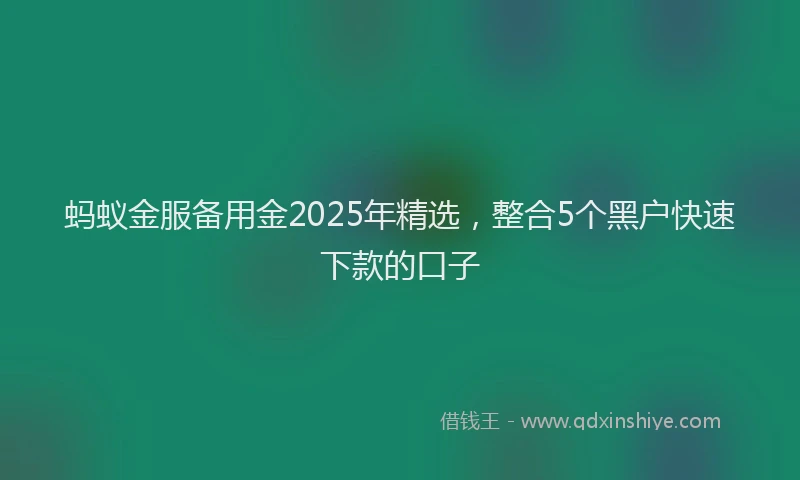 蚂蚁金服备用金2025年精选，整合5个黑户快速下款的口子