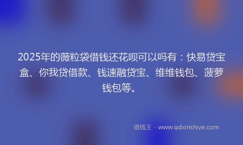2025年的薇粒袋借钱还花呗可以吗有：快易贷宝盒、你我贷借款、钱速融贷宝、维维钱包、菠萝钱包等。