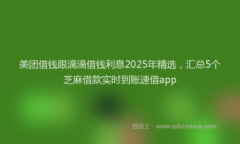美团借钱跟滴滴借钱利息2025年精选，汇总5个芝麻借款实时到账速借app