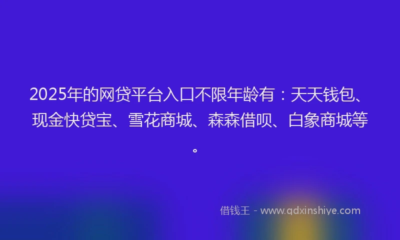 2025年的网贷平台入口不限年龄有：天天钱包、现金快贷宝、雪花商城、森森借呗、白象商城等。