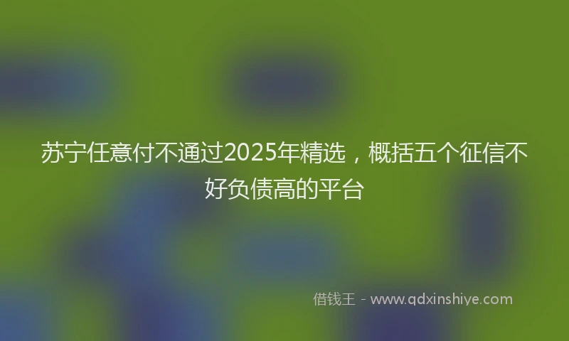 苏宁任意付不通过2025年精选，概括五个征信不好负债高的平台
