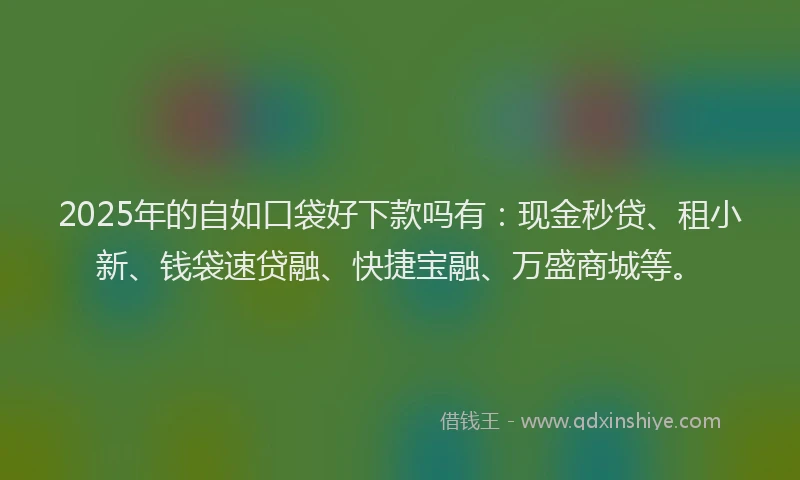 2025年的自如口袋好下款吗有：现金秒贷、租小新、钱袋速贷融、快捷宝融、万盛商城等。