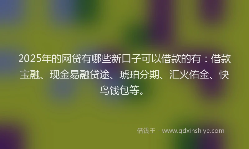 2025年的网贷有哪些新口子可以借款的有：借款宝融、现金易融贷途、琥珀分期、汇火佑金、快鸟钱包等。