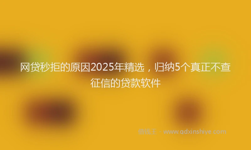 网贷秒拒的原因2025年精选，归纳5个真正不查征信的贷款软件