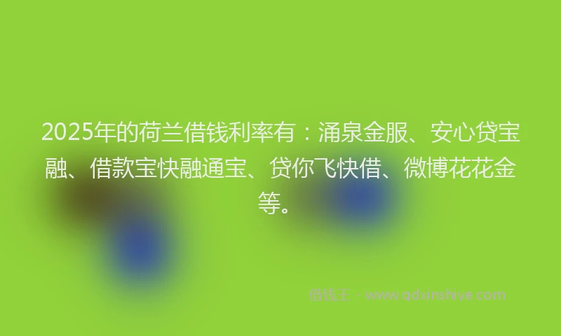 2025年的荷兰借钱利率有：涌泉金服、安心贷宝融、借款宝快融通宝、贷你飞快借、微博花花金等。