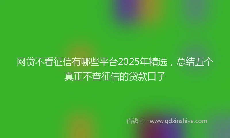 网贷不看征信有哪些平台2025年精选，总结五个真正不查征信的贷款口子
