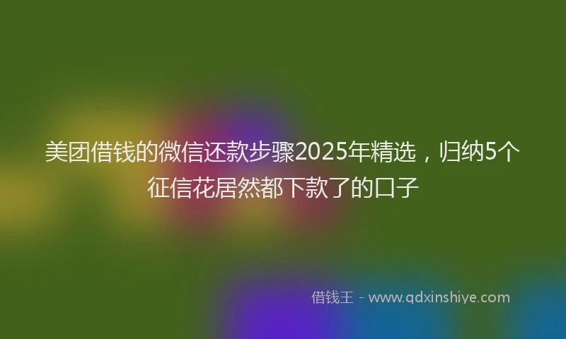 美团借钱的微信还款步骤2025年精选，归纳5个征信花居然都下款了的口子