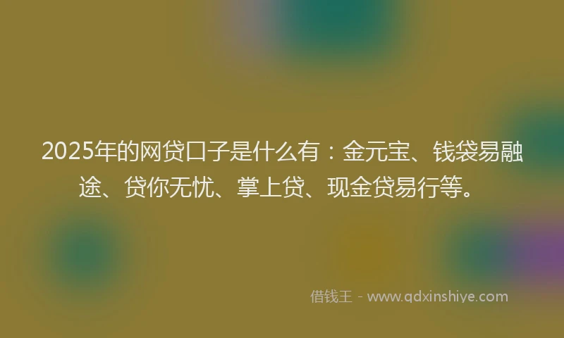 2025年的网贷口子是什么有：金元宝、钱袋易融途、贷你无忧、掌上贷、现金贷易行等。