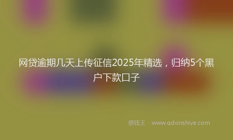 网贷逾期几天上传征信2025年精选，归纳5个黑户下款口子