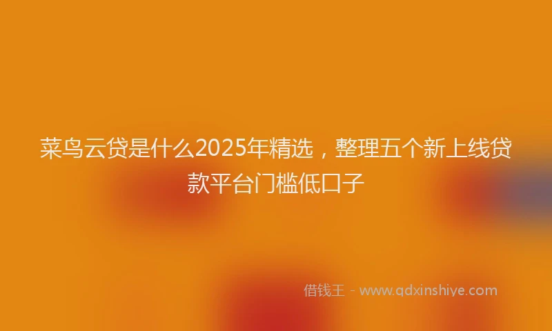 菜鸟云贷是什么2025年精选，整理五个新上线贷款平台门槛低口子