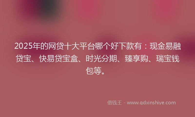 2025年的网贷十大平台哪个好下款有：现金易融贷宝、快易贷宝盒、时光分期、臻享购、瑞宝钱包等。