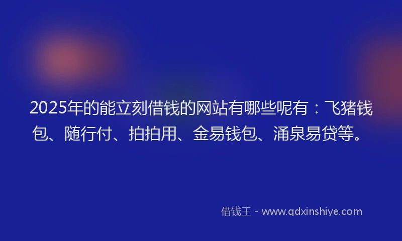 2025年的能立刻借钱的网站有哪些呢有：飞猪钱包、随行付、拍拍用、金易钱包、涌泉易贷等。