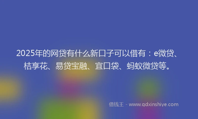 2025年的网贷有什么新口子可以借有：e微贷、桔享花、易贷宝融、宜口袋、蚂蚁微贷等。