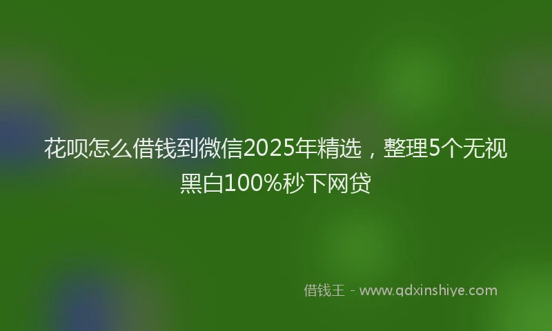 花呗怎么借钱到微信2025年精选，整理5个无视黑白100%秒下网贷