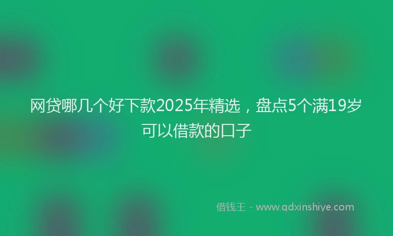 网贷哪几个好下款2025年精选，盘点5个满19岁可以借款的口子
