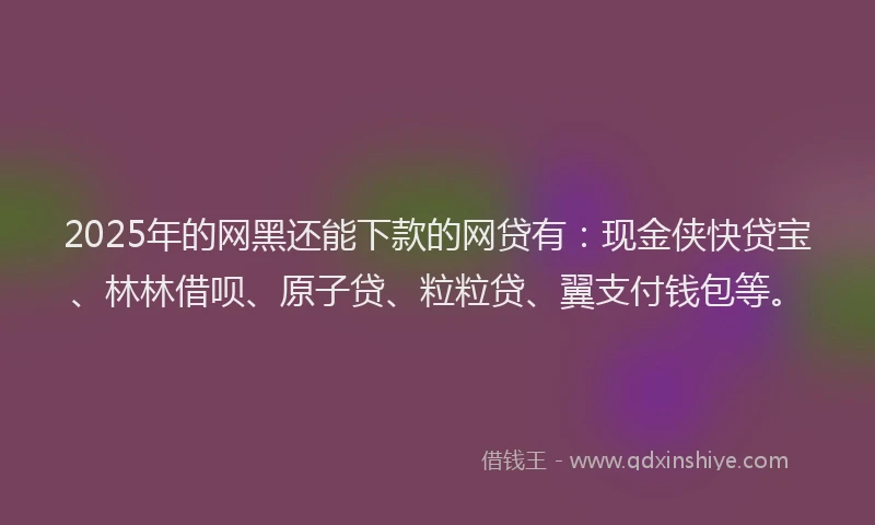 2025年的网黑还能下款的网贷有：现金侠快贷宝、林林借呗、原子贷、粒粒贷、翼支付钱包等。