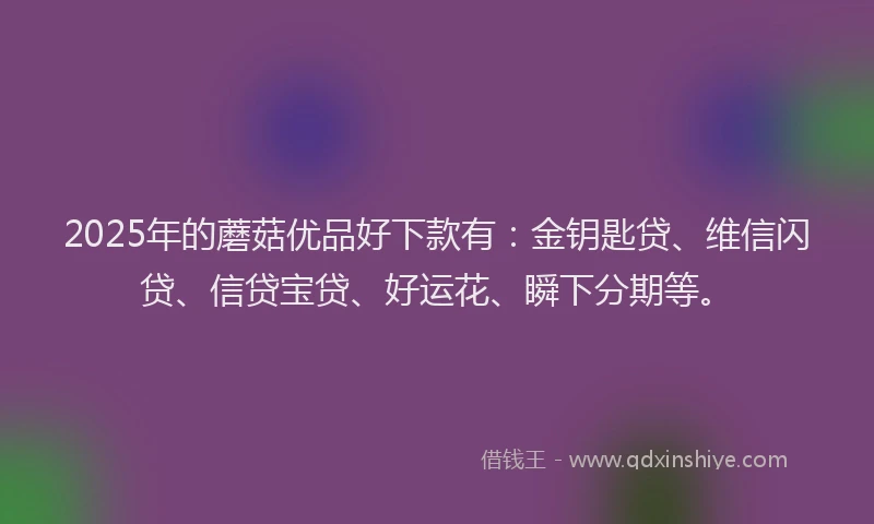 2025年的蘑菇优品好下款有：金钥匙贷、维信闪贷、信贷宝贷、好运花、瞬下分期等。