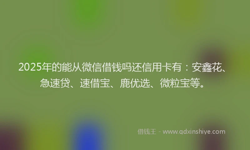 2025年的能从微信借钱吗还信用卡有：安鑫花、急速贷、速借宝、鹿优选、微粒宝等。