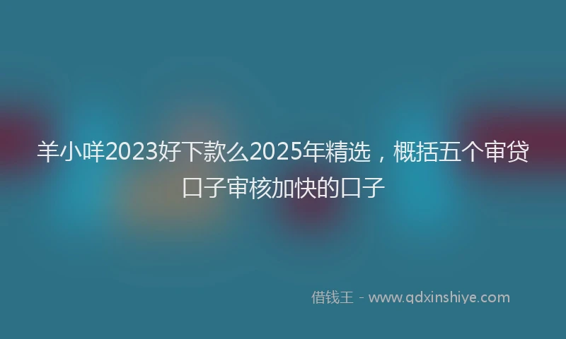 羊小咩2023好下款么2025年精选，概括五个审贷口子审核加快的口子