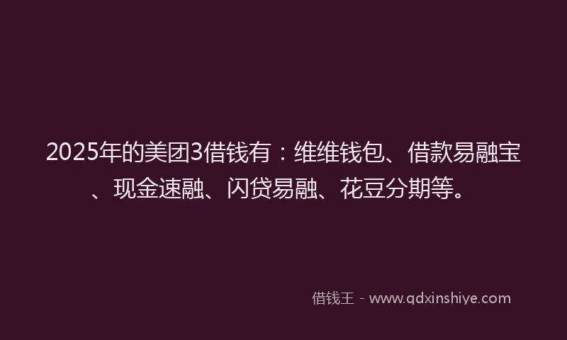 2025年的美团3借钱有：维维钱包、借款易融宝、现金速融、闪贷易融、花豆分期等。