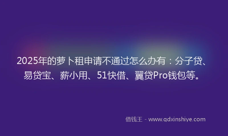 2025年的萝卜租申请不通过怎么办有：分子贷、易贷宝、薪小用、51快借、翼贷Pro钱包等。