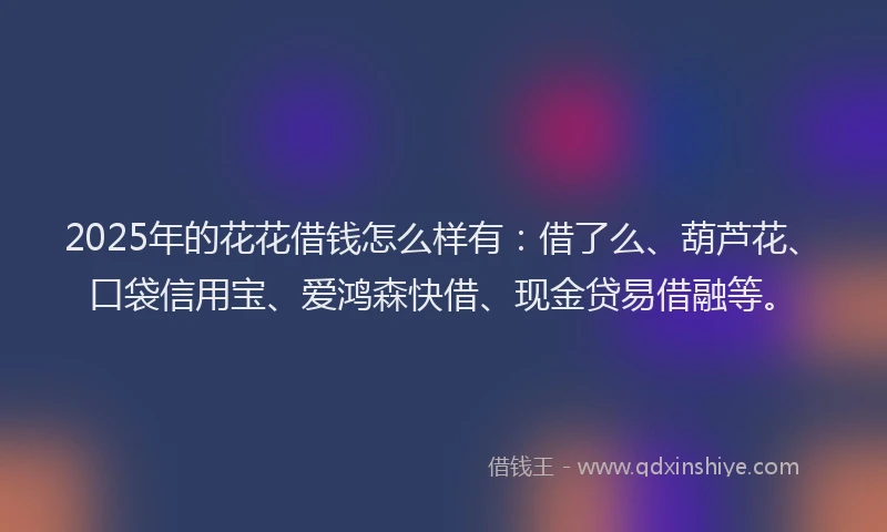 2025年的花花借钱怎么样有：借了么、葫芦花、口袋信用宝、爱鸿森快借、现金贷易借融等。