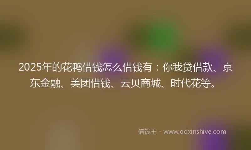 2025年的花鸭借钱怎么借钱有：你我贷借款、京东金融、美团借钱、云贝商城、时代花等。
