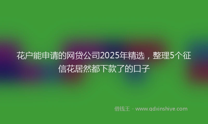 花户能申请的网贷公司2025年精选，整理5个征信花居然都下款了的口子