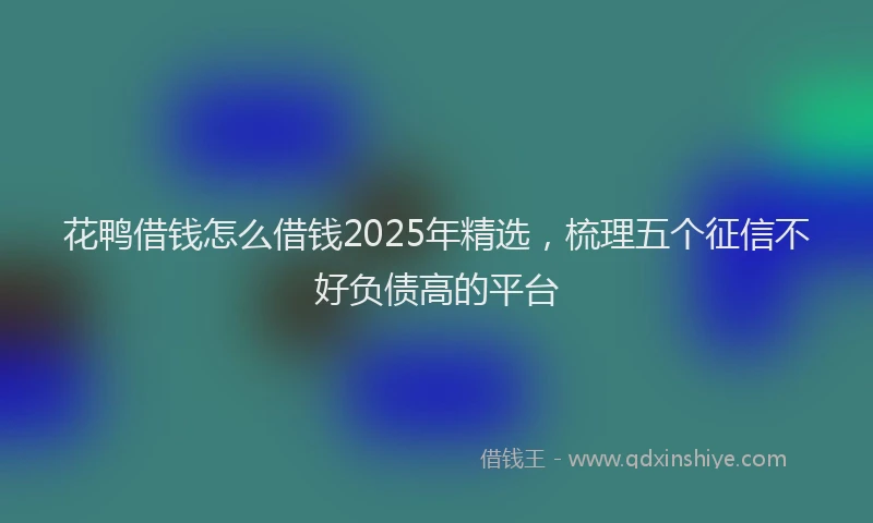 花鸭借钱怎么借钱2025年精选，梳理五个征信不好负债高的平台